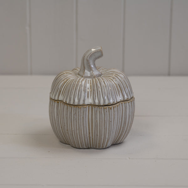 Ceramic Pumpkin Pot D11.5xH12.5cm Weight-491g