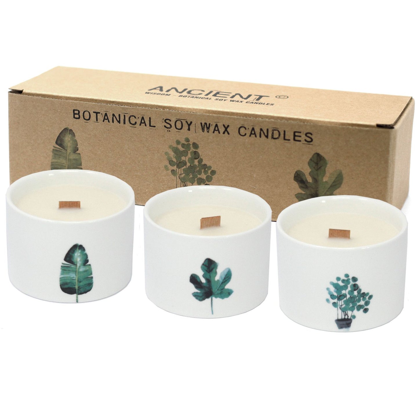 Medium Botanical Candles - Japanese Garden