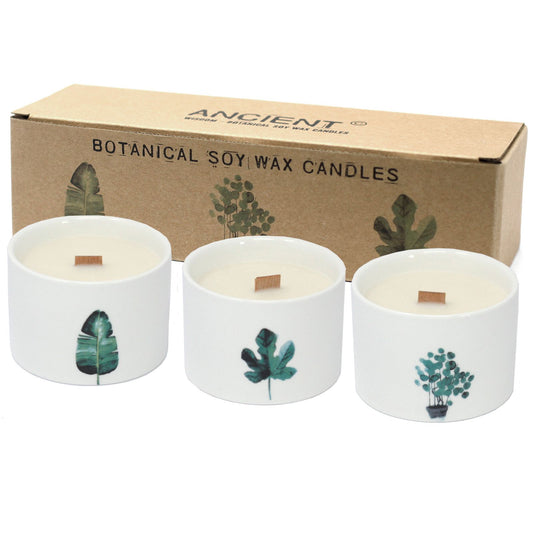 Medium Botanical Candles - Japanese Garden