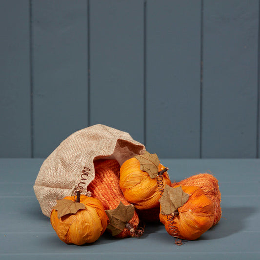 Bag of Six Pumpkins L6xH11cm Weight-104g